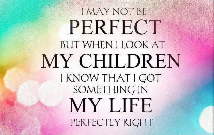 Quote On Children
 I may not be perfect but when I look at my children I know
