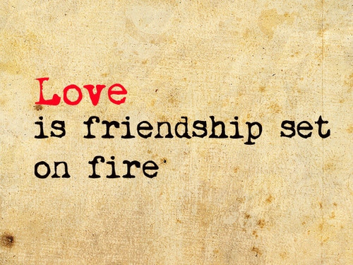 Quote On Friendship And Love
 Love Is Friendship Set Fire