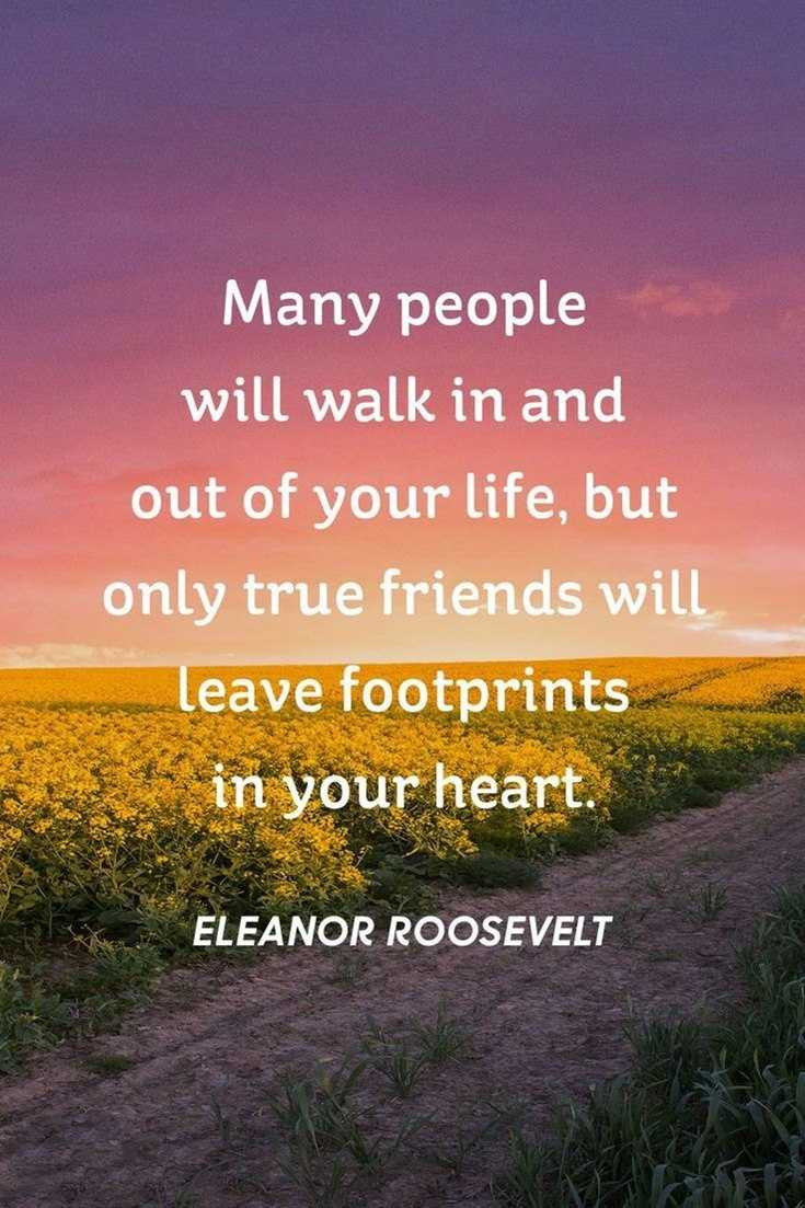 Quote On Friendship
 Top 57 Best Friendship Quotes to Enriched Your Life tiny