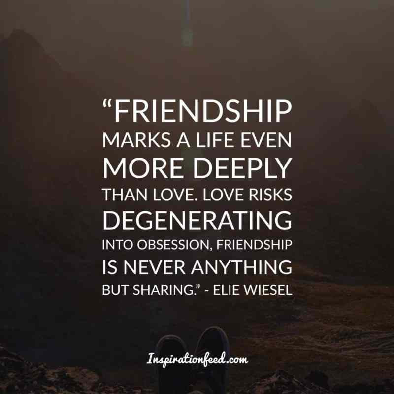 Quote On Friendship
 40 Truthful Quotes about Friendship