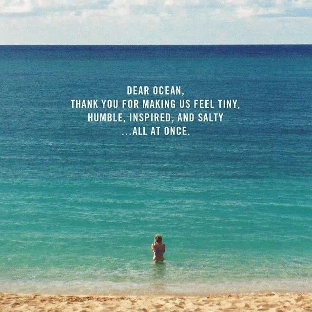 Quotes About Beach And Love
 Quotes About Love The Beach QuotesGram