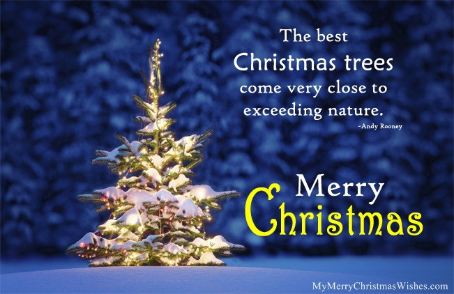 Quotes About Christmas Trees
 Christmas Tree Quotes and Sayings