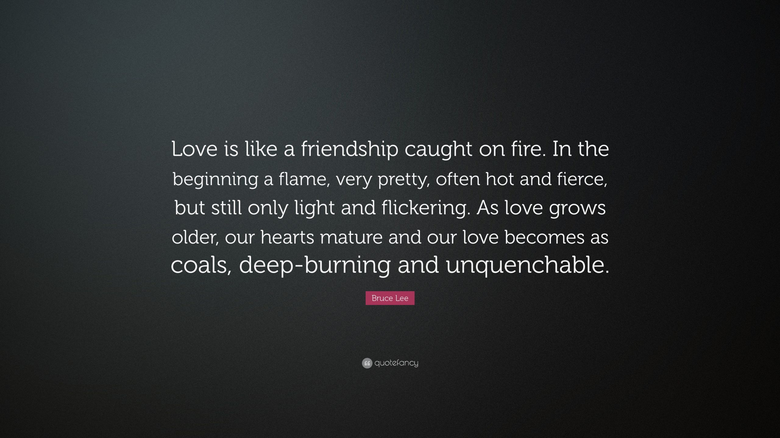 Quotes About Fire And Love
 Bruce Lee Quote “Love is like a friendship caught on fire