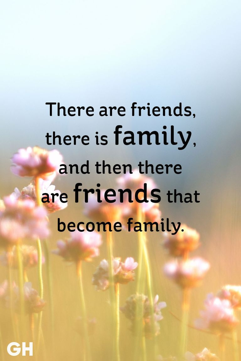 Quotes About Friendship And Family
 25 Short Friendship Quotes to With Your Best Friend