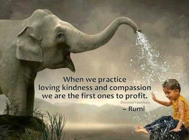 Quotes About Kindness And Compassion
 Poetry