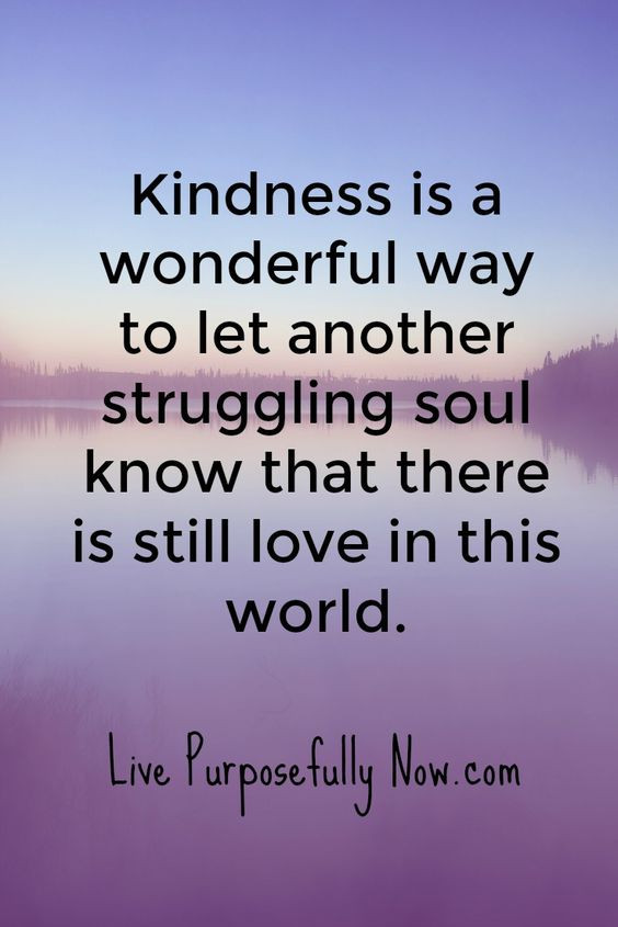Quotes About Kindness To Others
 Kindness Matters