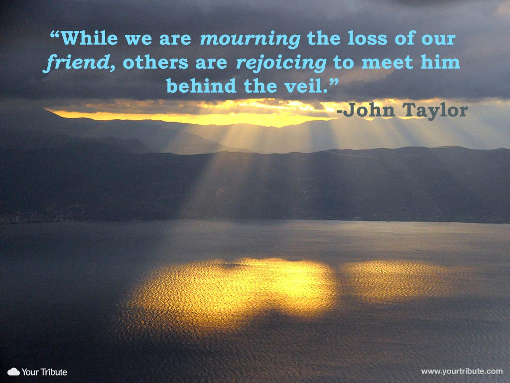 Quotes About Loss Of A Friendship
 Quote