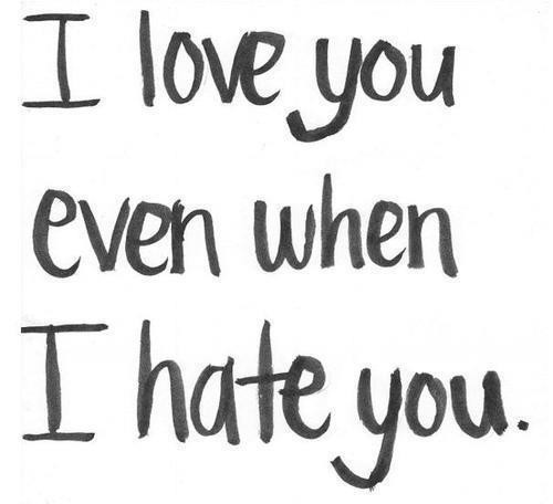 Quotes About Love And Hate
 Love Hate Quotes QuotesGram