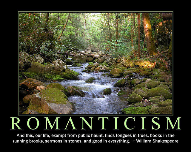 Quotes About Romanticism
 Romanticism Era Quotes QuotesGram
