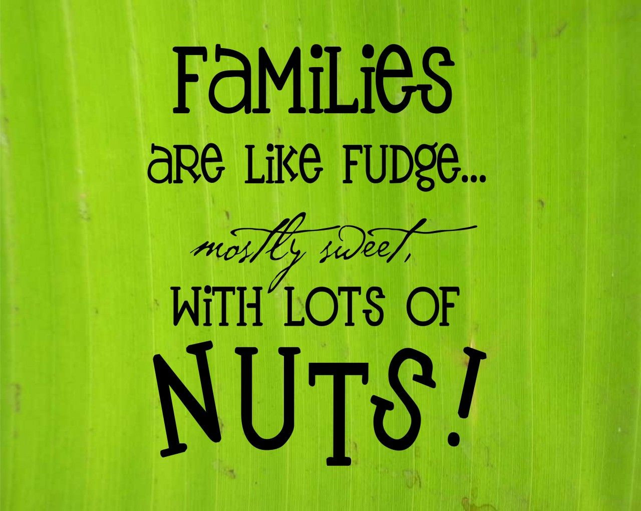 Quotes Abut Family
 My Crazy Family Quotes QuotesGram