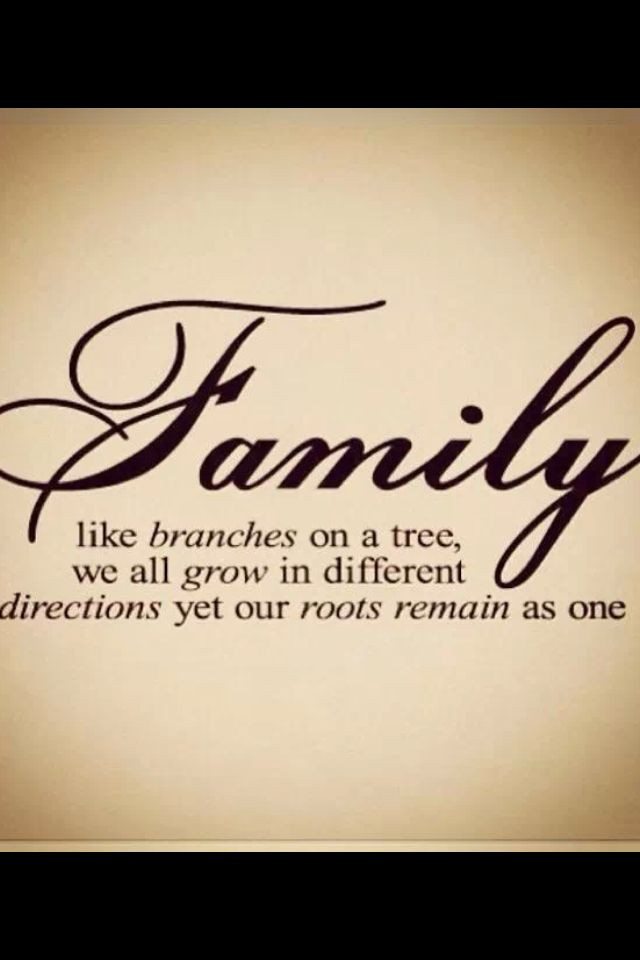 Quotes Abut Family
 Pinterest Quotes About Family QuotesGram
