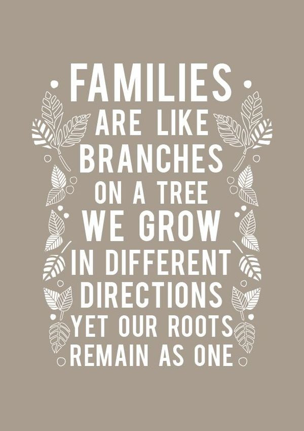 Quotes Abut Family
 Family Quotes 167 Short Love My Family Sayings