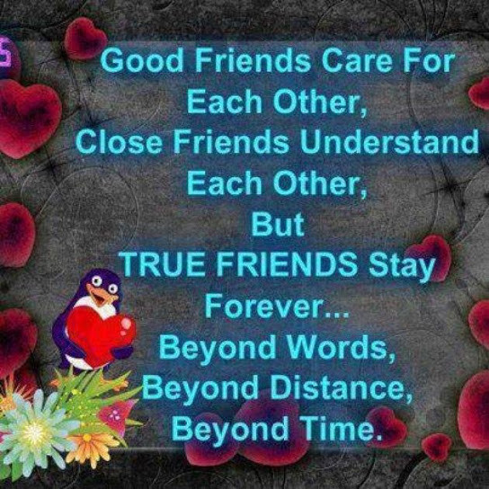 Quotes True Friendship
 Good friends care for each other