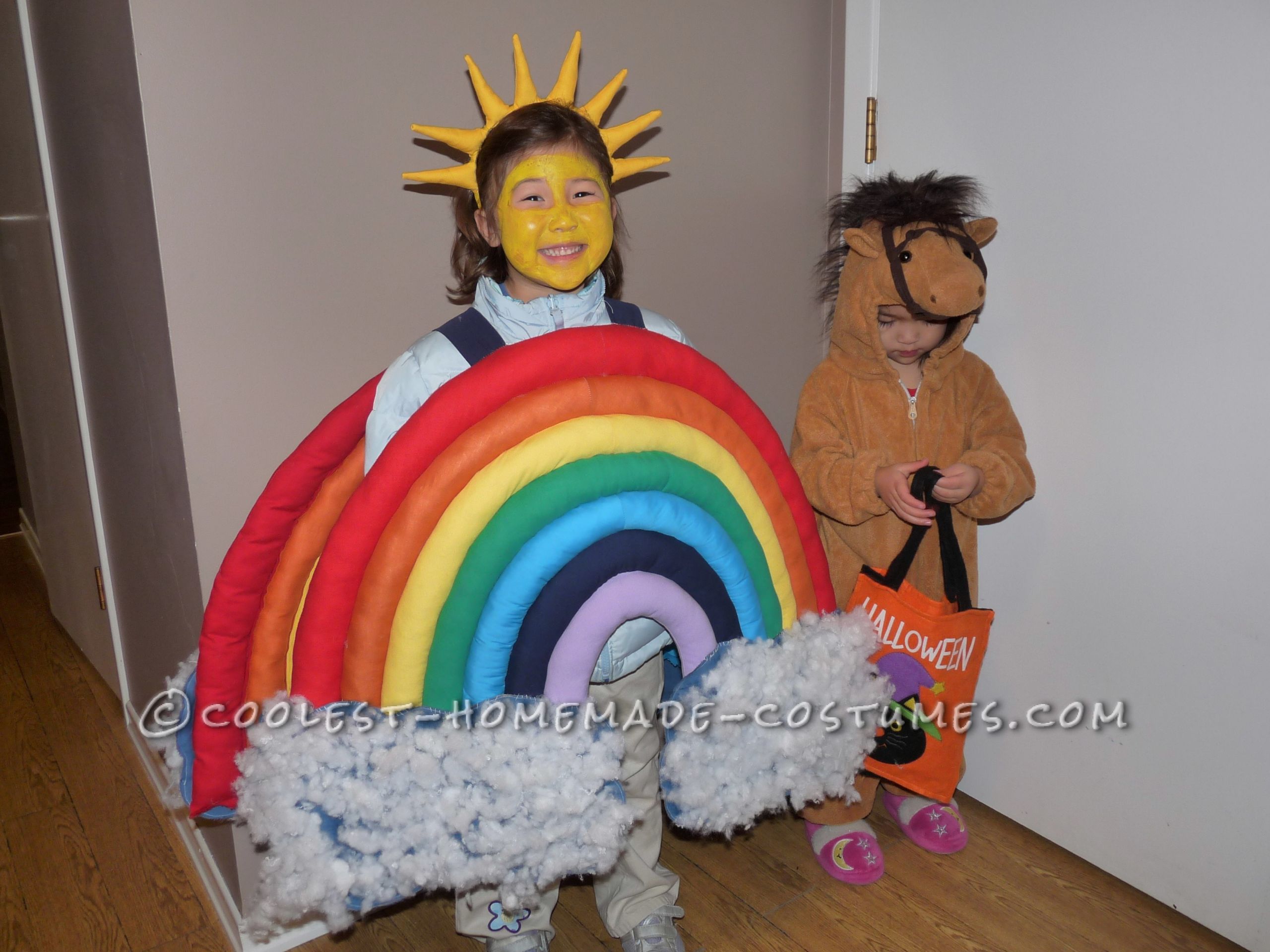 Rainbow Costume DIY
 Beautiful Homemade Rainbow Costume