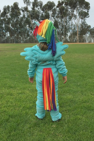 Rainbow Costume DIY
 DIY Rainbow Dash Halloween Costume Felt With Love Designs