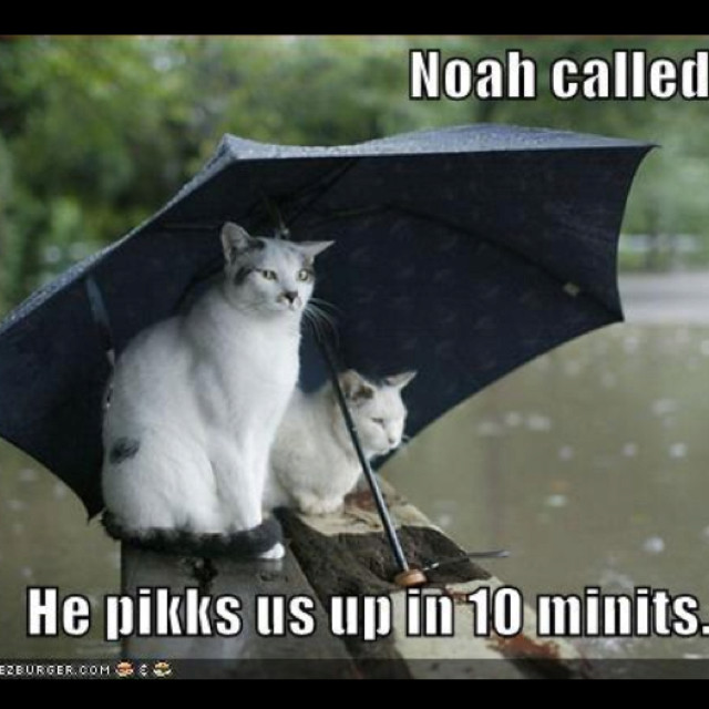 Rainy Quotes Funny
 Rainy Day Quotes For QuotesGram