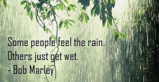 Rainy Quotes Funny
 Funny Quotes Rainy Day QuotesGram