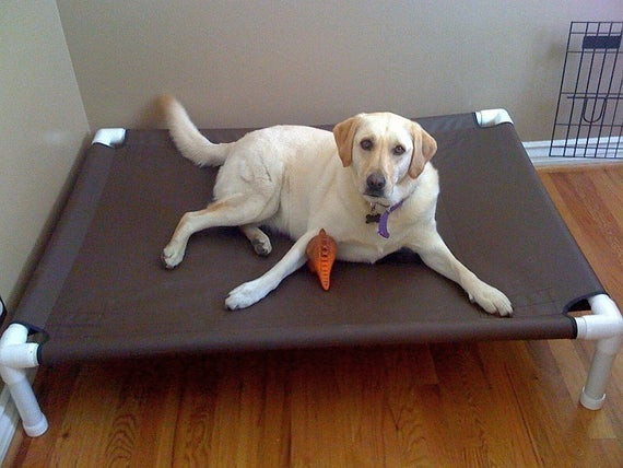 Raised Dog Bed DIY
 Dog Bed Raised Dog Bed Medium Bed Dog Bed Cot