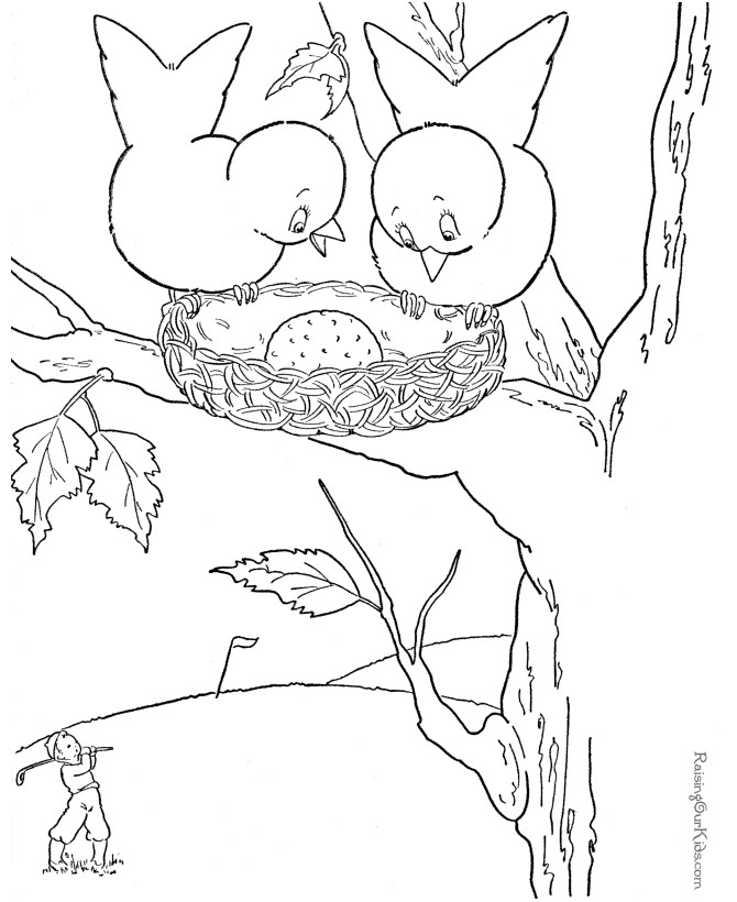 Raising Our Kids.Com Coloring Pages
 Bird coloring pictures 005
