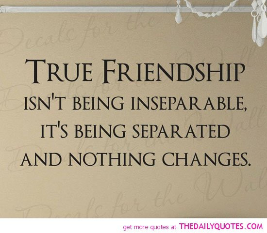 Real Friendship Quotes
 Famous Quotes About True Friendship QuotesGram