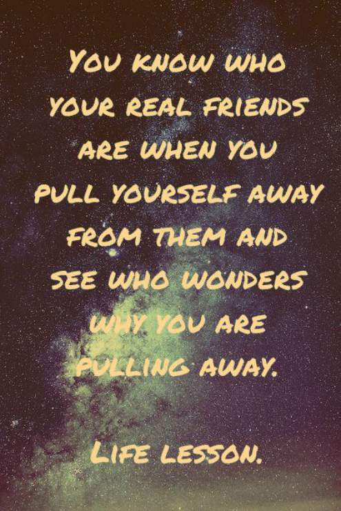 Real Friendship Quotes
 26 Quotes about Fake Friends with