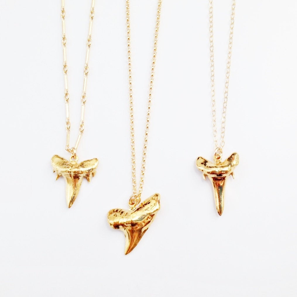 Real Shark Tooth Necklace
 Gold Shark Tooth Necklace Real Shark Tooth