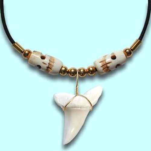 Real Shark Tooth Necklace
 Real Mako Shark Tooth Pendant Surfer Necklace for Men