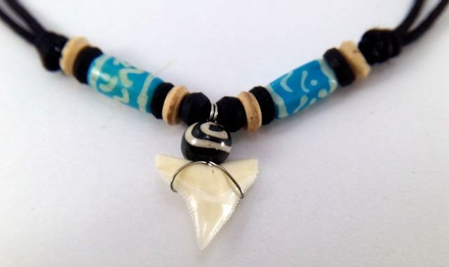 Real Shark Tooth Necklace
 REAL NATURAL SHARK TOOTH NECKLACE TEETH PENDANT CHOKER
