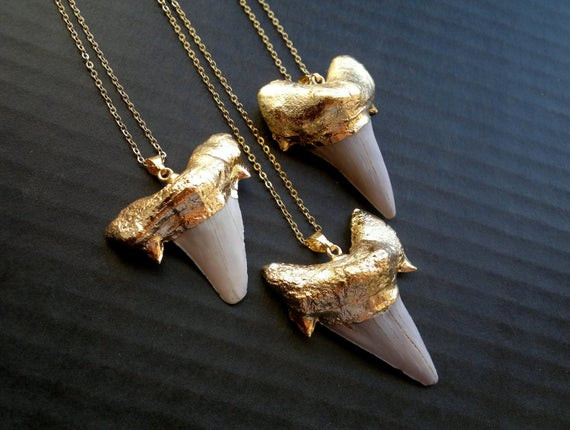 Real Shark Tooth Necklace
 Gold Plated Shark Tooth Necklace Real Shark Tooth by