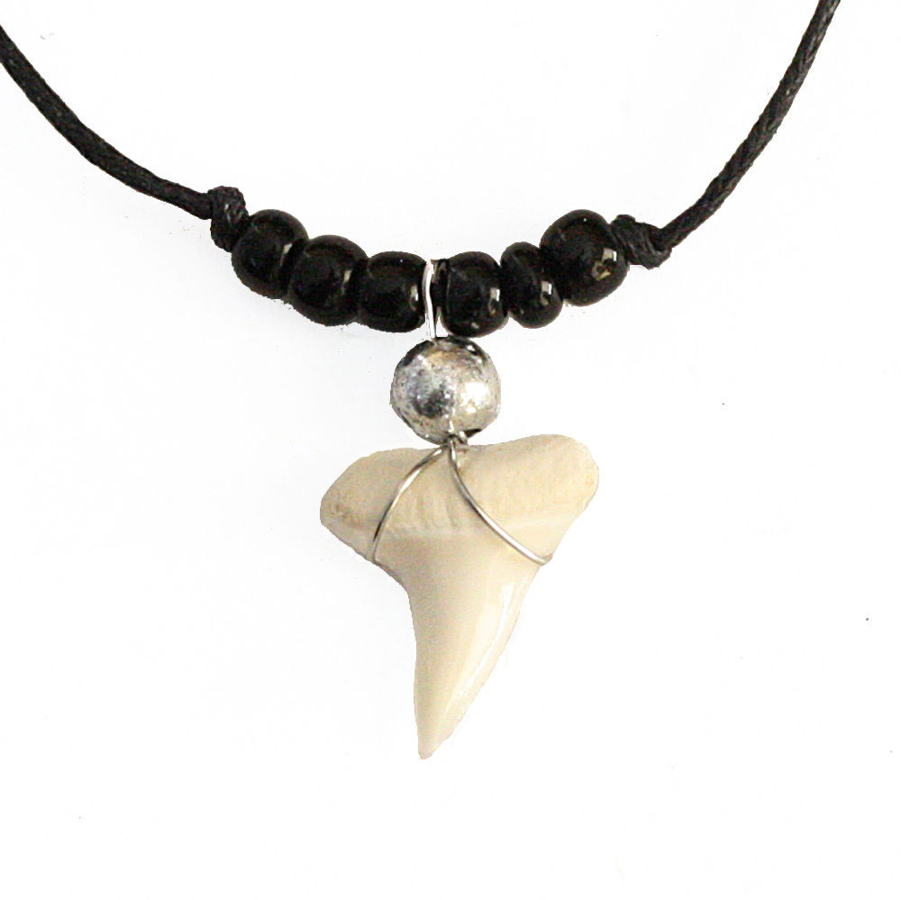 Real Shark Tooth Necklace
 Real Shark Tooth Teeth Pendant Charm Necklace with Black