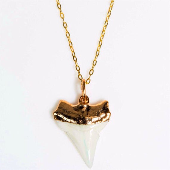 Real Shark Tooth Necklace
 White Gold Dipped Shark Tooth Necklace Real Shark Tooth 14K