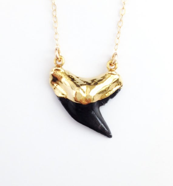 Real Shark Tooth Necklace
 Black Shark Tooth Necklace Real Shark Tooth Gold Filled