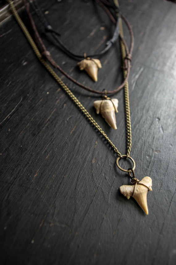 Real Shark Tooth Necklace
 Earthy Real Shark Tooth Fossil Necklace Bronze chain or