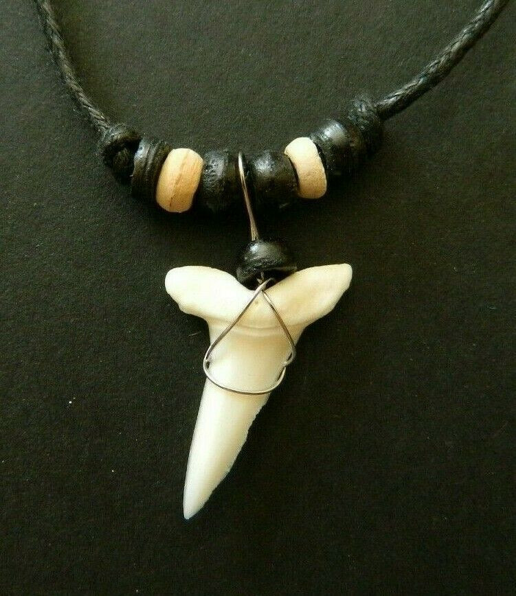 Real Shark Tooth Necklace
 LARGE REAL SHARK TOOTH NECKLACE ADJUSTABLE PENDANT BOYS