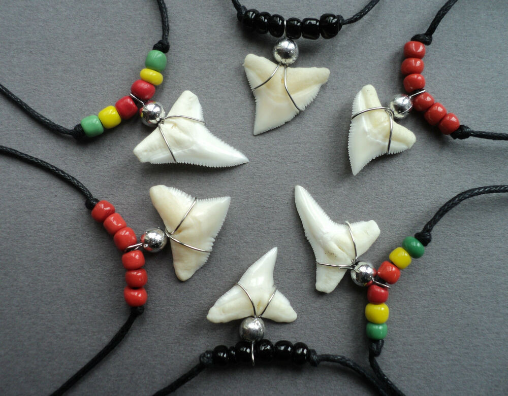 Real Shark Tooth Necklace
 SHARK TOOTH NECKLACE bead REAL SHARKS 1 TO 1 5CM LONG