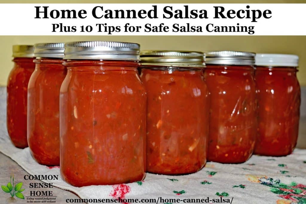 Recipe For Canning Salsa
 Home Canned Salsa Recipe Plus 10 Tips for Canning Salsa