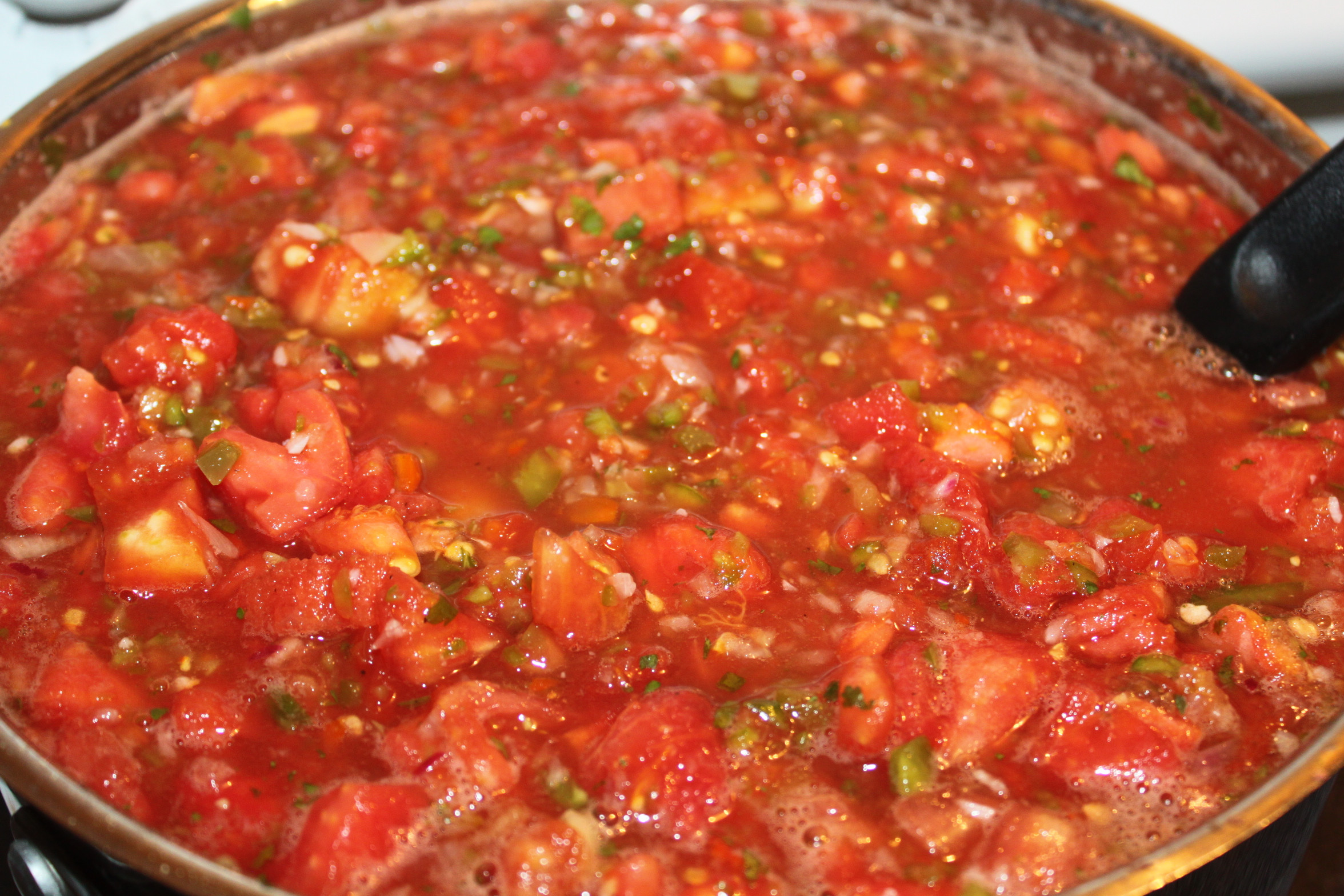 Recipe For Canning Salsa
 Summertime Salsa Recipe – Fresh Canned To Enjoy All