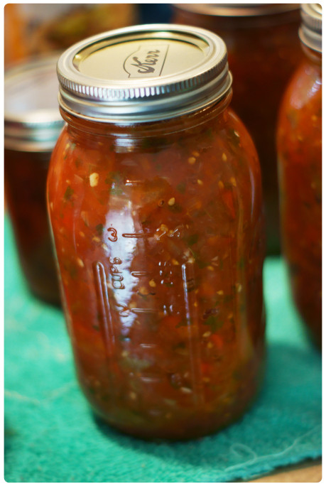 Recipe For Canning Salsa
 Super Simple Salsa for Canning