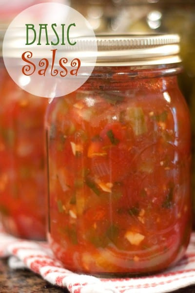 Recipe For Canning Salsa
 Basic Salsa