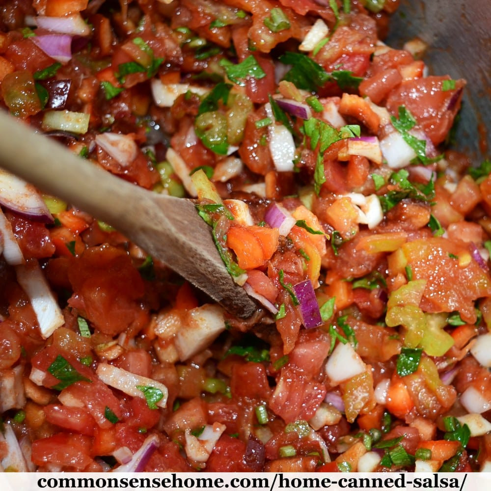 Recipe For Canning Salsa
 Home Canned Salsa Recipe Plus 10 Tips for Canning Salsa