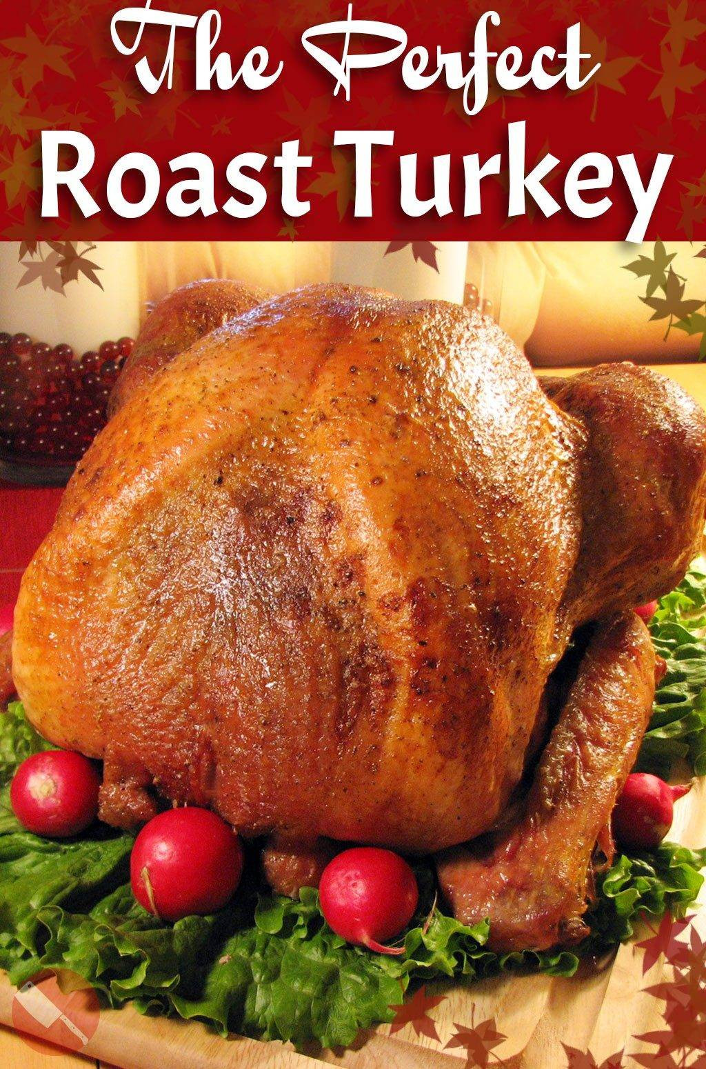 Recipe For Thanksgiving Turkey
 The Ultimate Roast Turkey Recipe Perfect for your Holiday