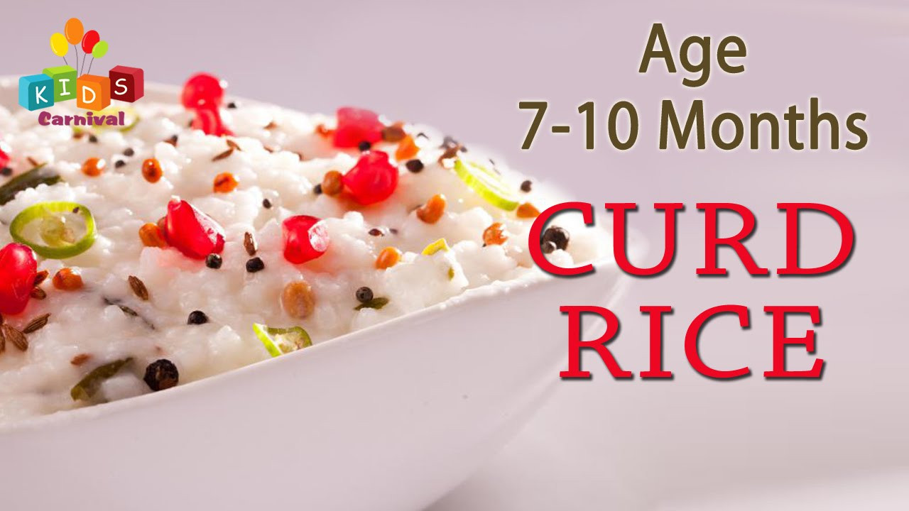Recipes For 10 Month Old Baby
 Curd Rice For 7 10 Months Old Babies