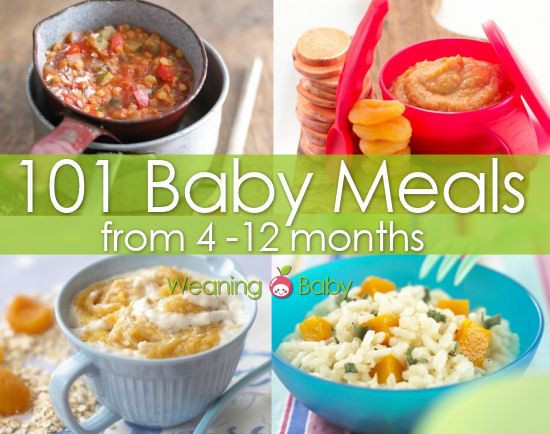 Recipes For 10 Month Old Baby
 The 25 best Weaning at 4 months ideas on Pinterest