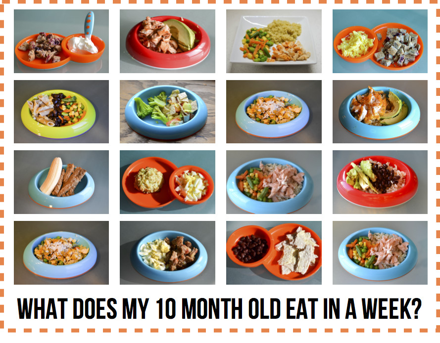 Recipes For 10 Month Old Baby
 What Does My 10 Month Old Eat in a Week