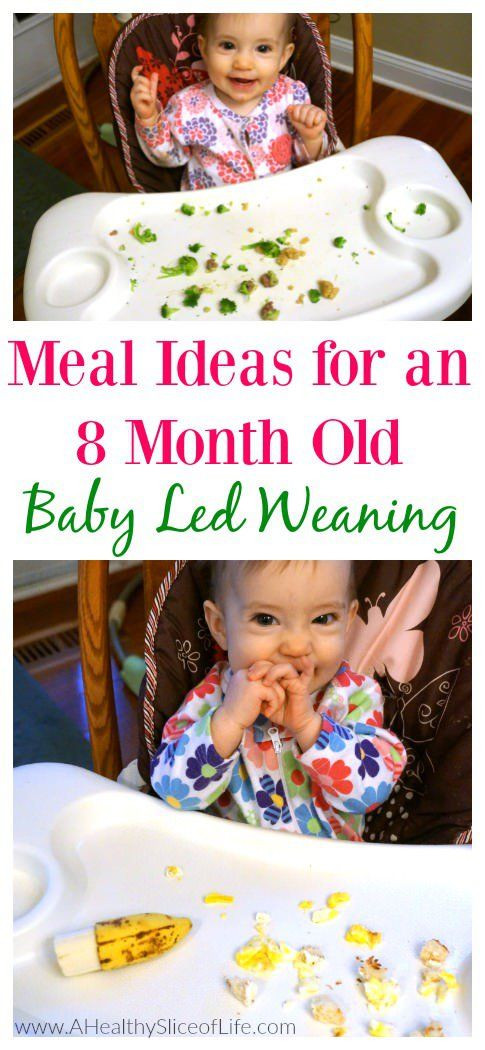 Recipes For 8 Months Old Baby
 Baby Led Weaning Meal Ideas 8 Months Old