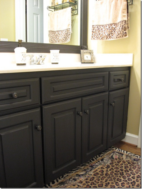 Repaint Bathroom Cabinet
 Painting Laminate Cabinets Southern Hospitality