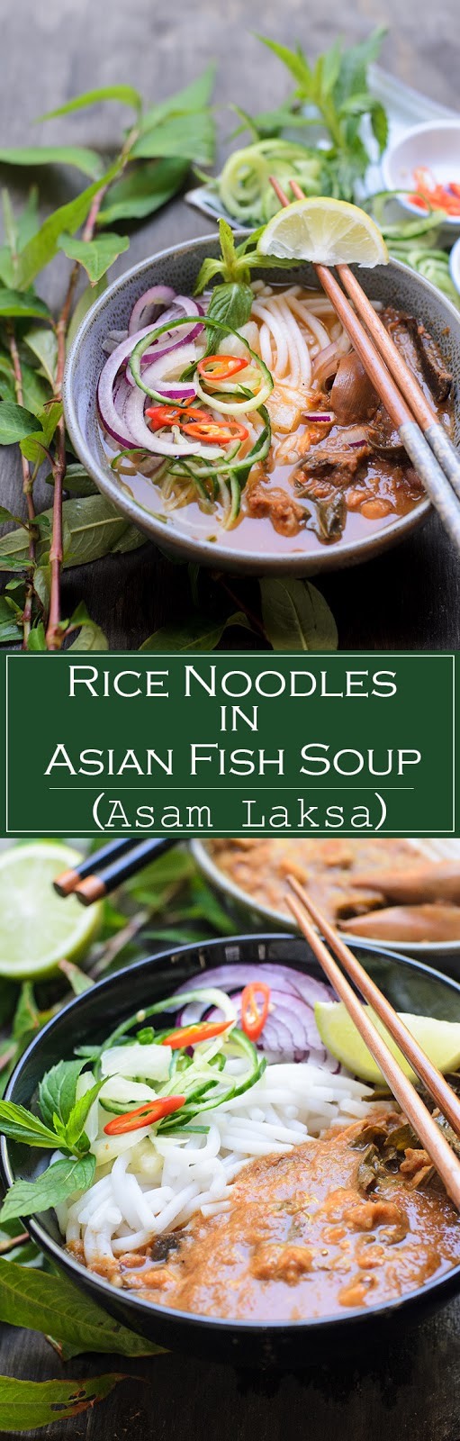 Rice Noodles Fish Book
 Rice Noodles in Asian Fish Soup Asam Laksa Lisa s