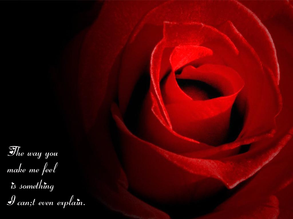 Rose Romantic Quotes
 50 Best Rose Quotes To Show Your Love