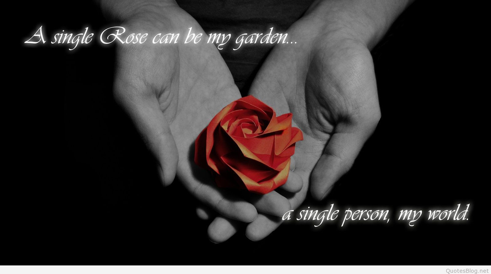 Rose Romantic Quotes
 Rose quotes and images