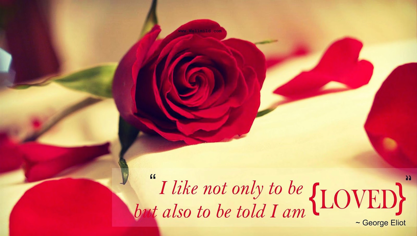 Rose Romantic Quotes
 Beautiful love quotes for her with rose flower images